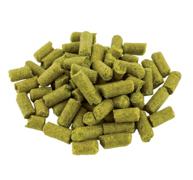 Brewers Gold Hops - 1 oz