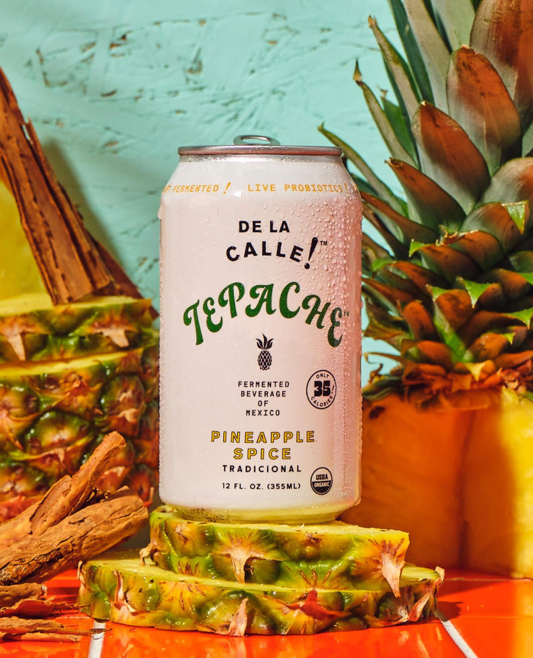 Pineapple Spice Tradicional  Tepache - De la Calle -12 oz can