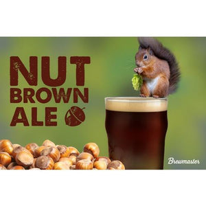 Nut Brown Ale - 5 gallon extract kit