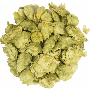 Whole Cone Willamette Hops - 2 oz