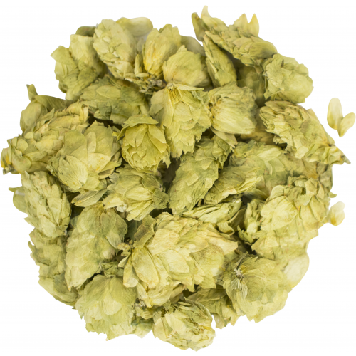 Whole Cone Willamette Hops - 2 oz